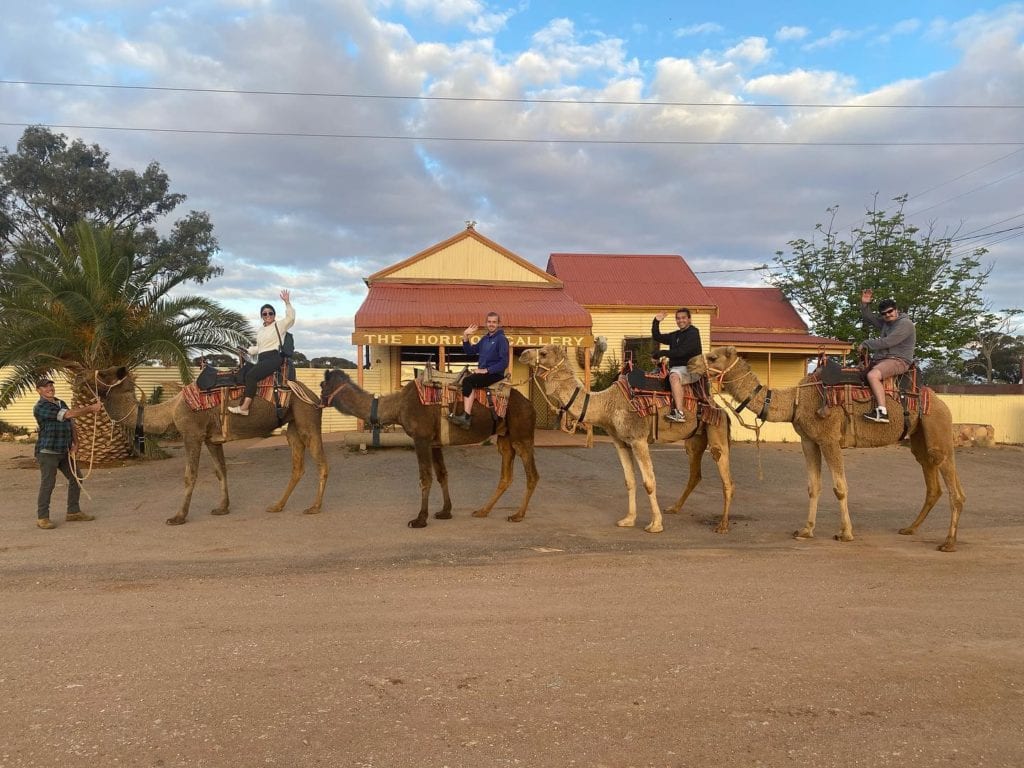 Silverton Camel Rides
