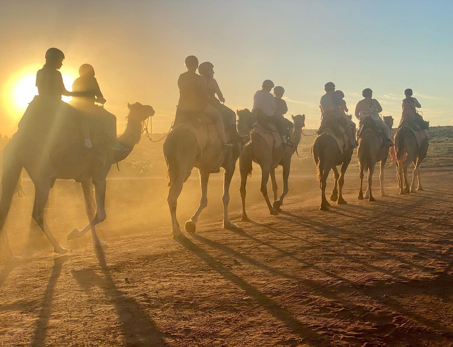Outback Sunset Camel Ride in Silverton