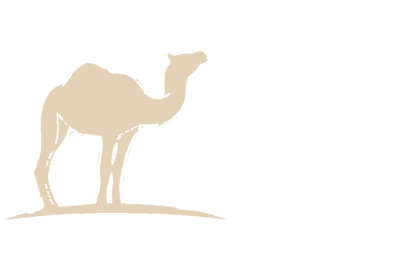 Siloutte of a camel