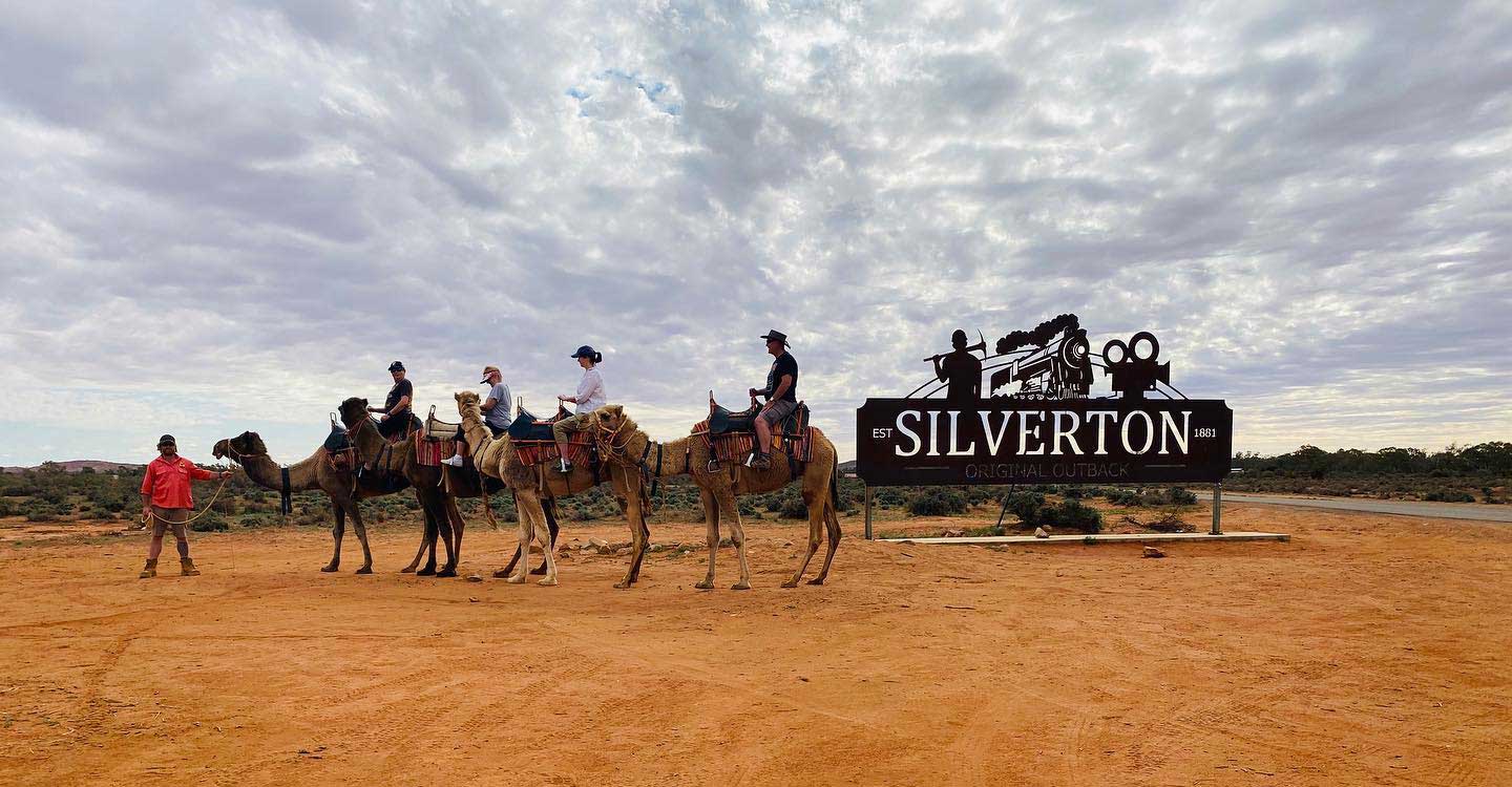 Silverton Camels