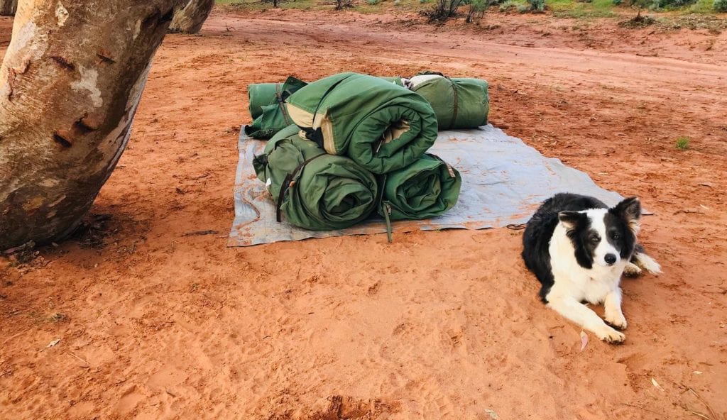 Overnight Outback Camel Tour