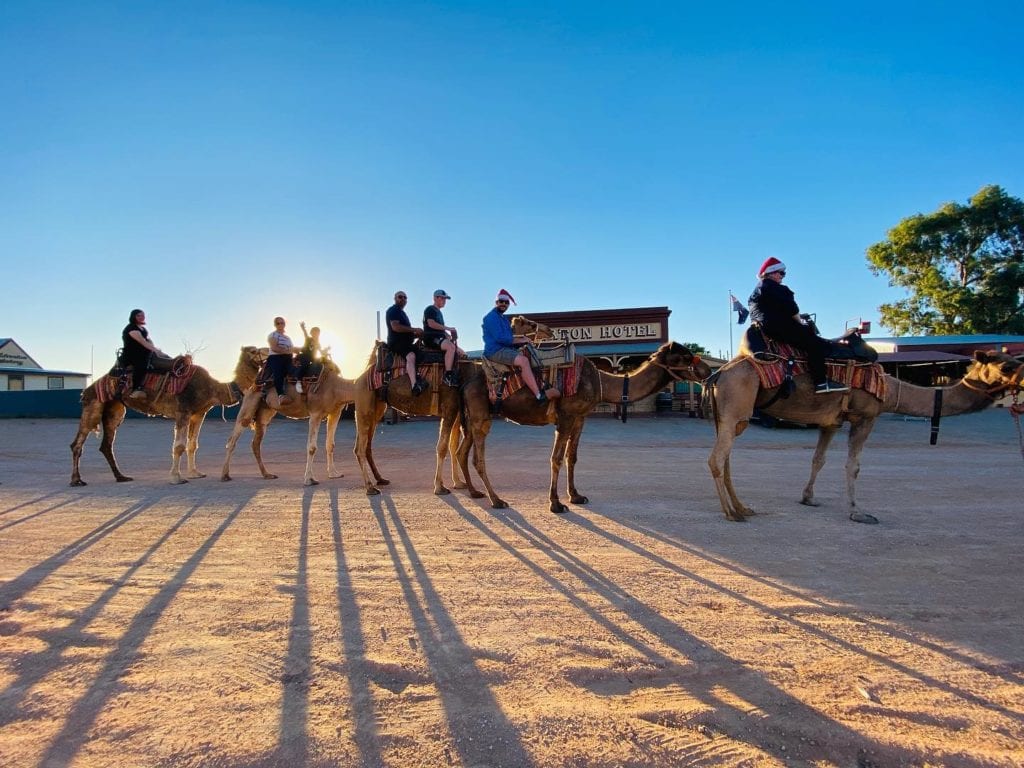 Christmas Day Camel Tour in Silverton