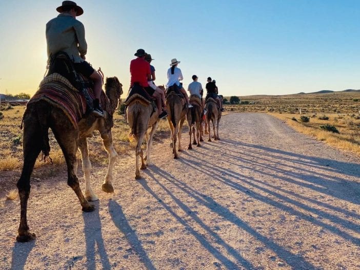 Silverton Outback Camels Closed until March 5