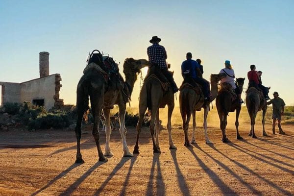 Camel Shadows during sunset camel ride