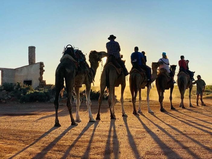 Camel Shadows during sunset camel ride