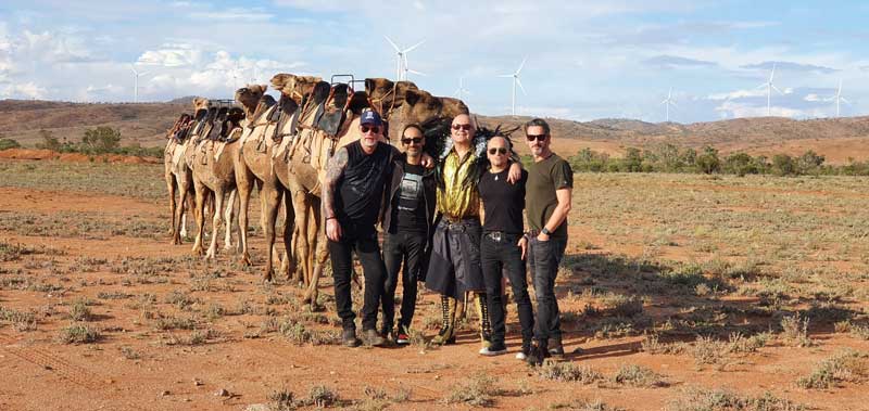 Chocolate Starfish and the Silverton Outback Camels