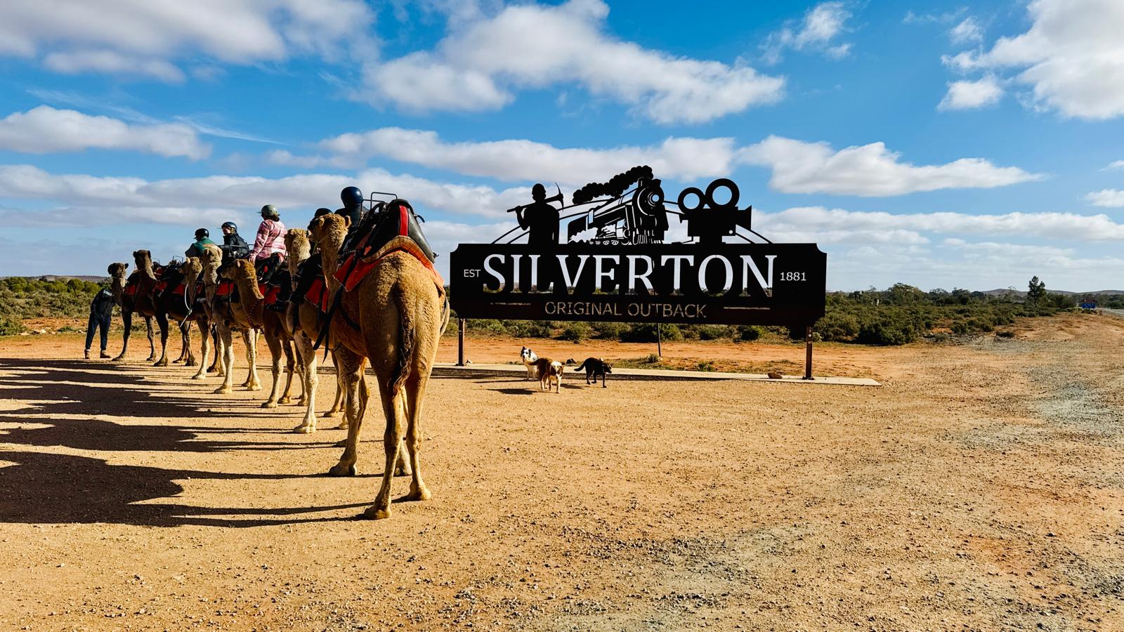 Silverton Outback Camels - The Outback Ark & Farmstay