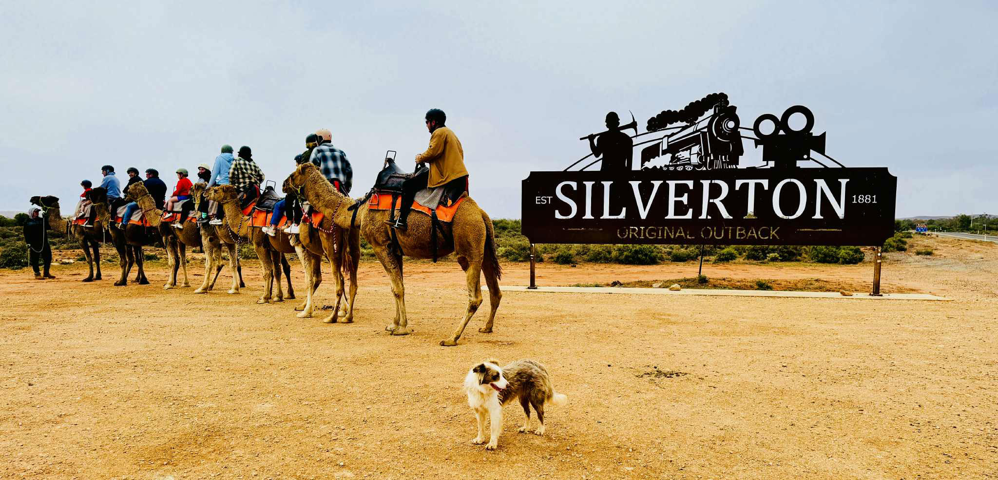 Silverton Camel Rides