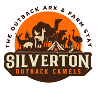 Silverton Outback Camels - The Outback Ark and Farm Stay